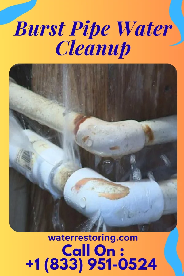 Burst Pipe Water Cleanup in Walnut Grove, MN