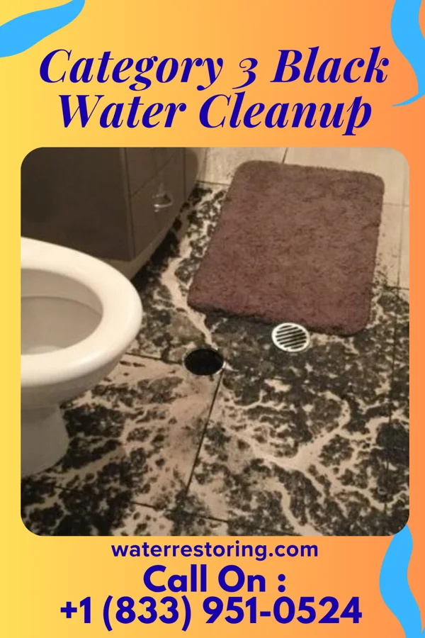 Category 3 Black Water Cleanup in Walnut Grove, MN