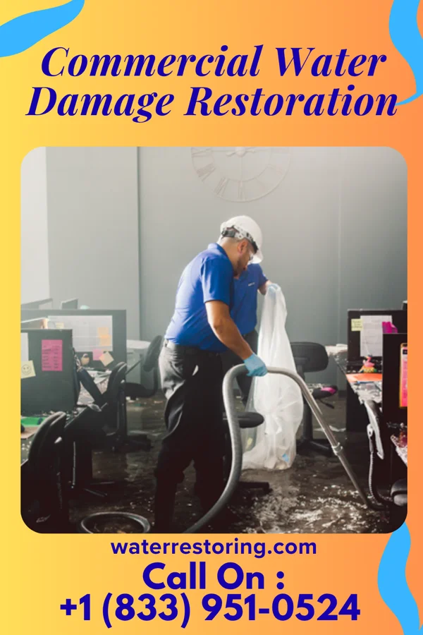 Commercial Water Damage Restoration in Walnut Grove, MN